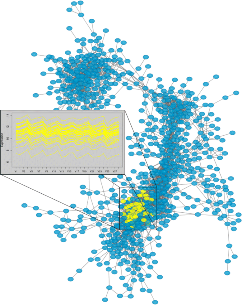petal Coexpression network modelling in R RNASeq Blog