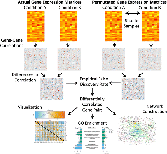 DGCA A comprehensive R package for Differential Gene Correlation