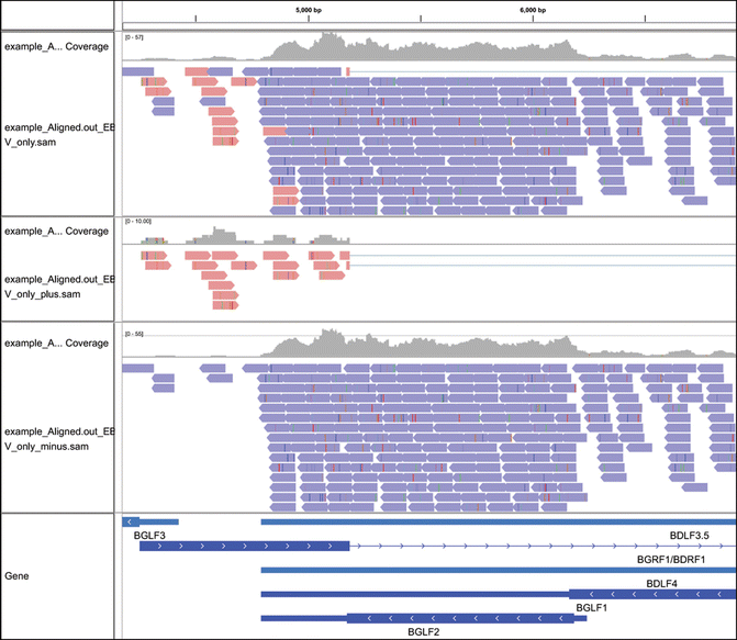 Analysis of EBV Transcription Using HighThroughput RNA Sequencing