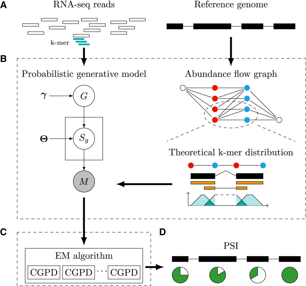 FreePSI an alignmentfree approach to estimating exoninclusion