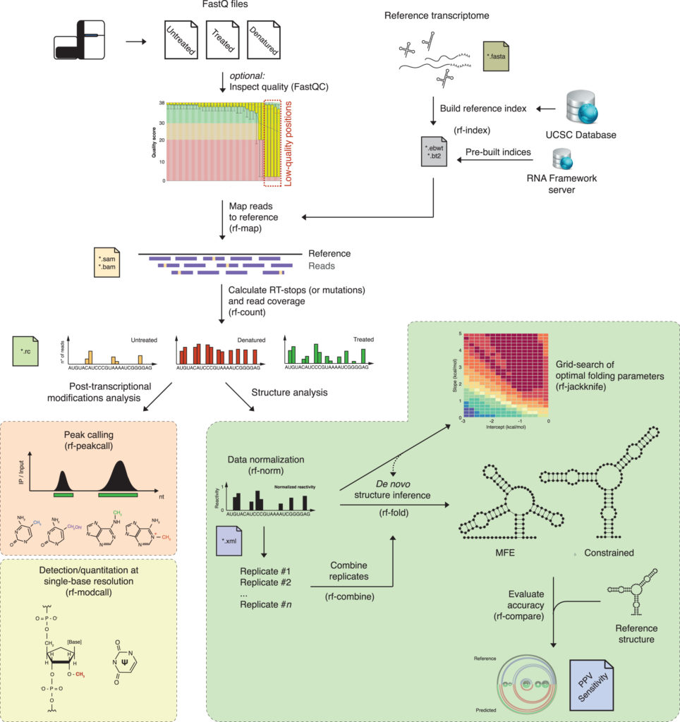 Basic RGB RNASeq Blog