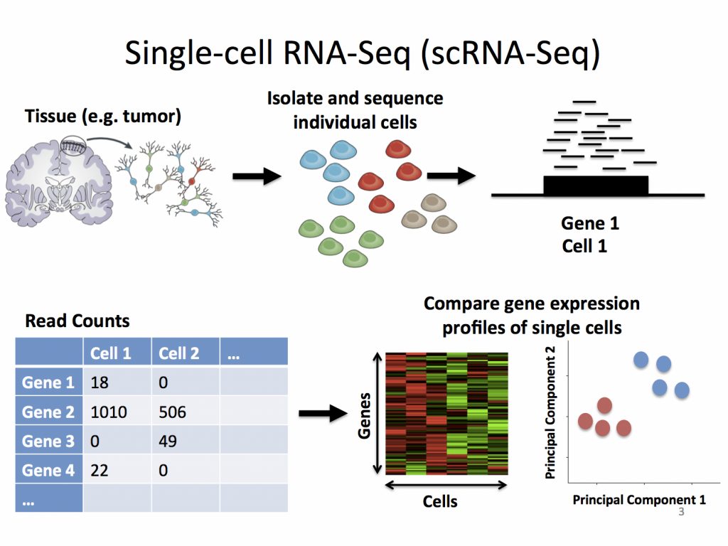 Top Benefits of Using the Technique of Single Cell RNASeq RNASeq Blog