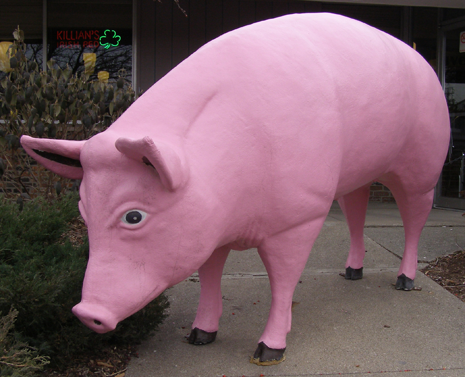 Pig & Hog Statues