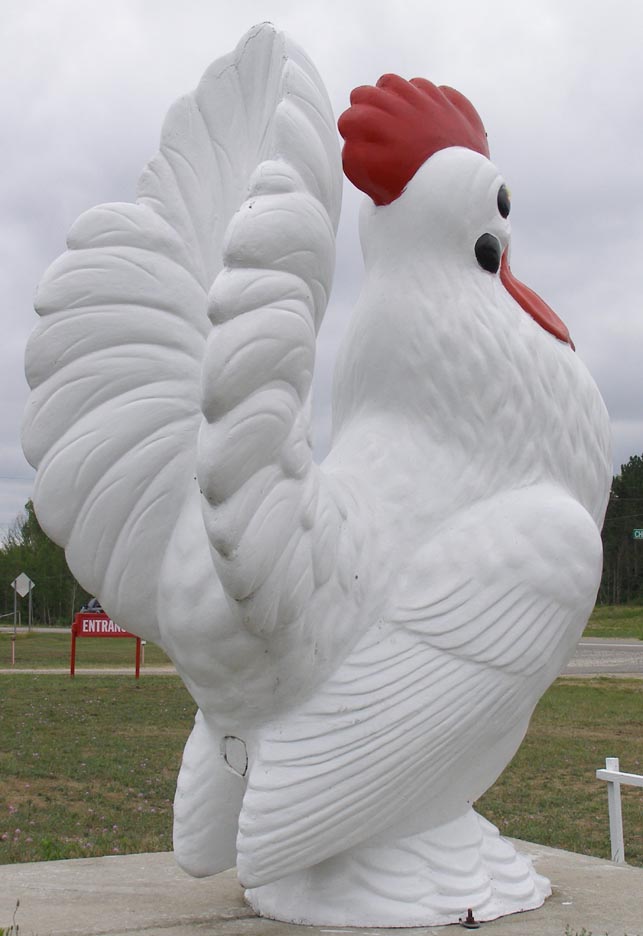 Rooster & Chicken Statues