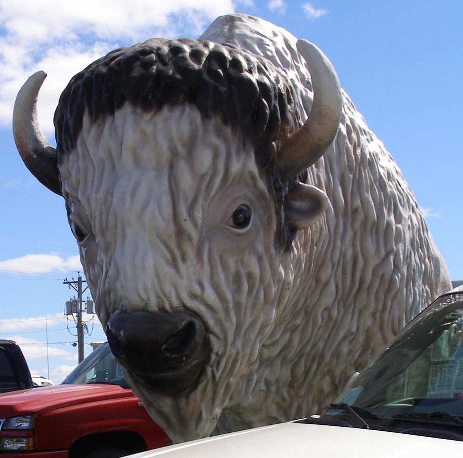 Buffalo & Bison Statues