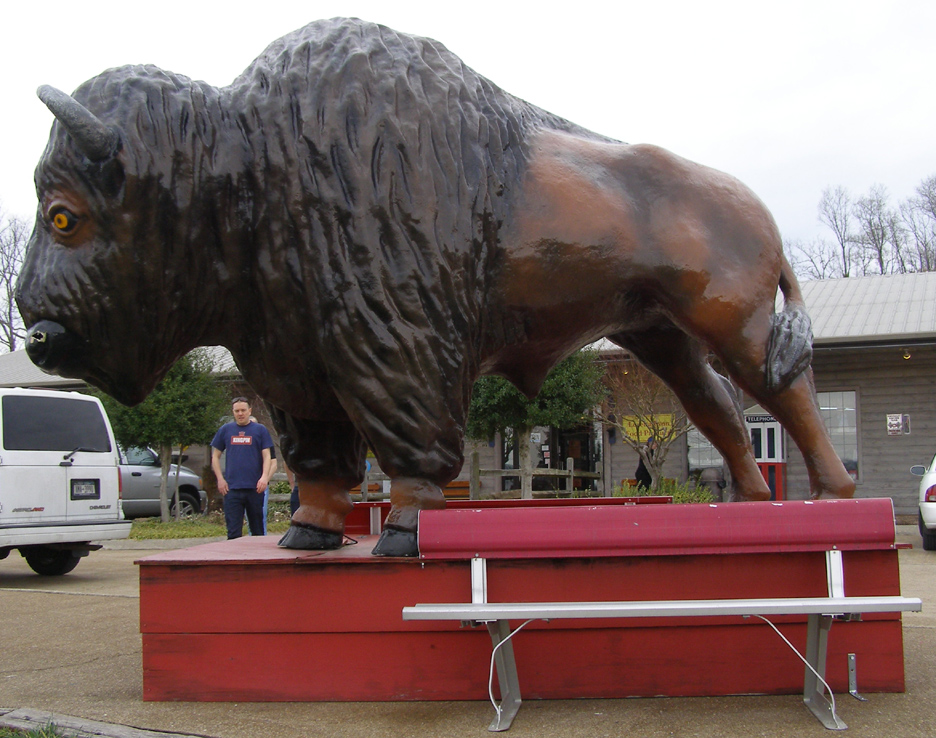 Buffalo & Bison Statues