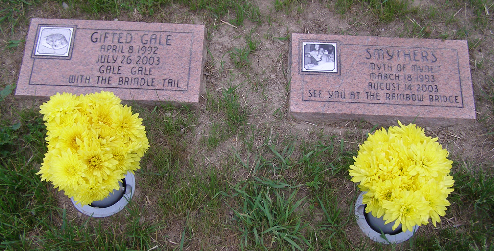 New Jersey Pet Cemeteries