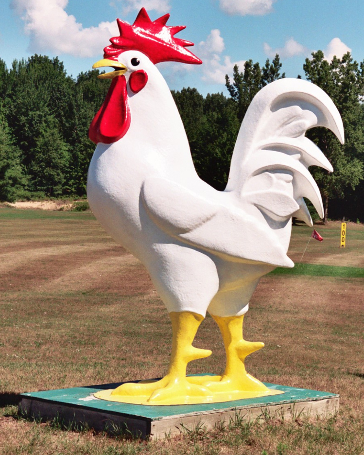 "Classic" Rooster Statues