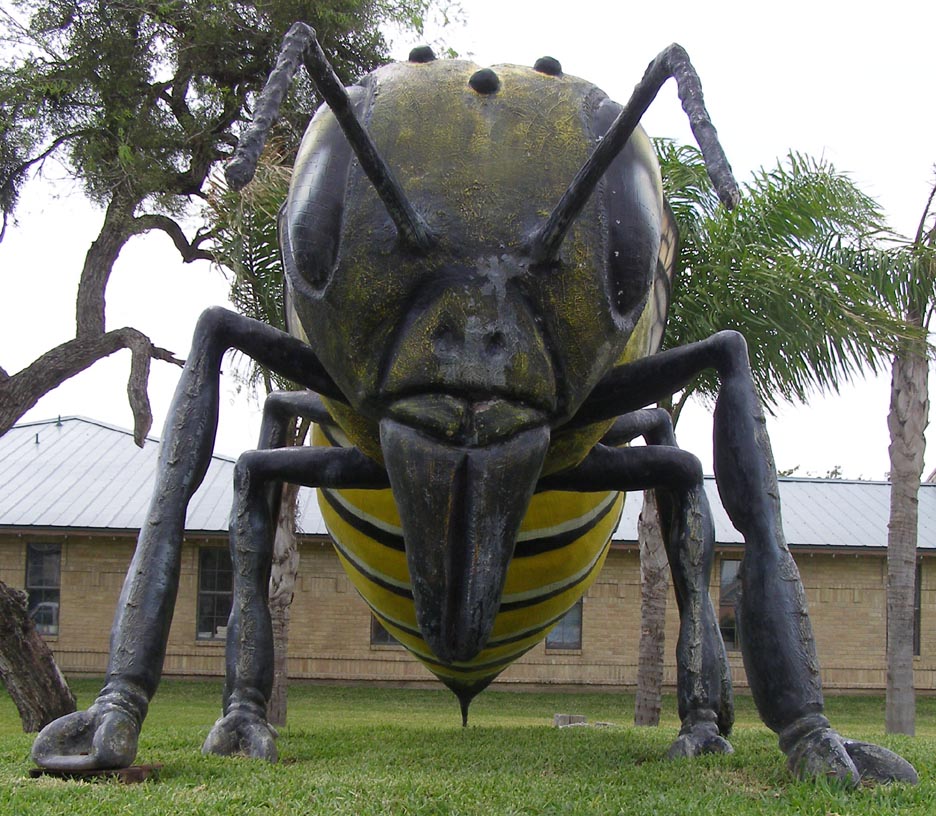 Insect Statues