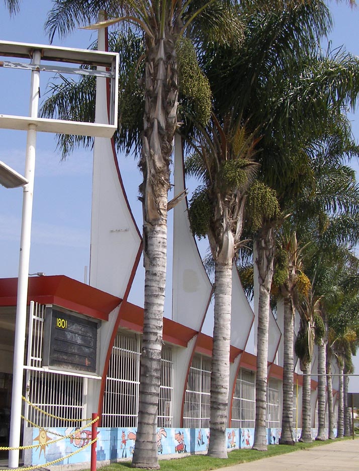 MidCentury Modern Car Washes