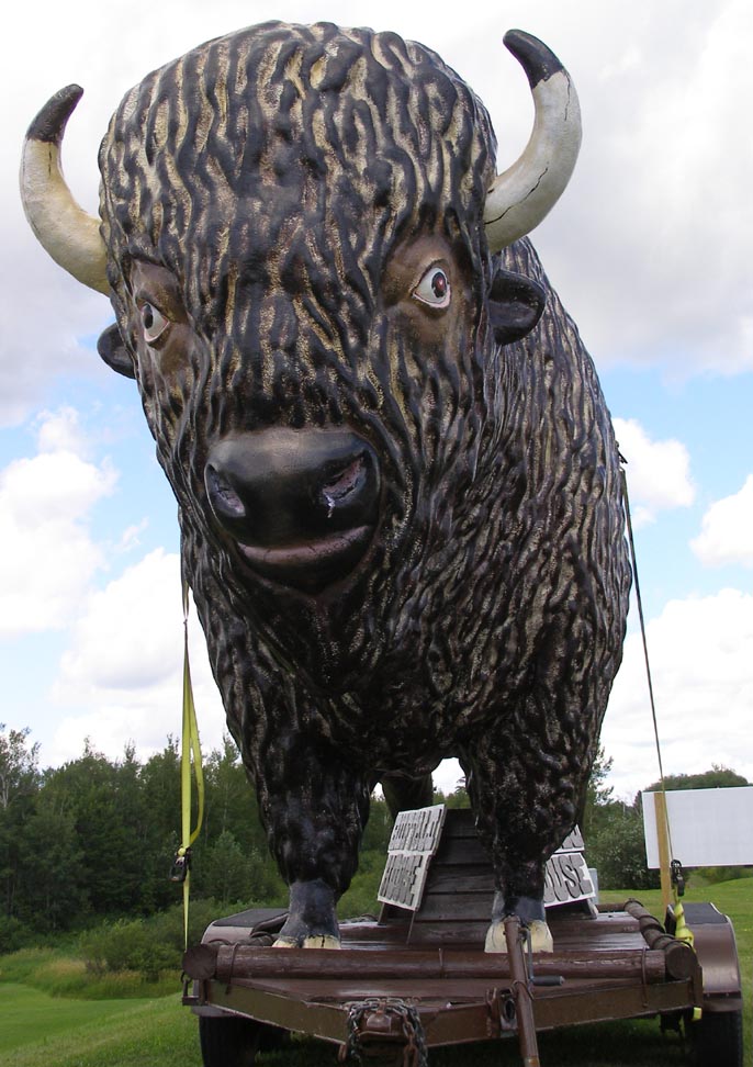 Buffalo & Bison Statues