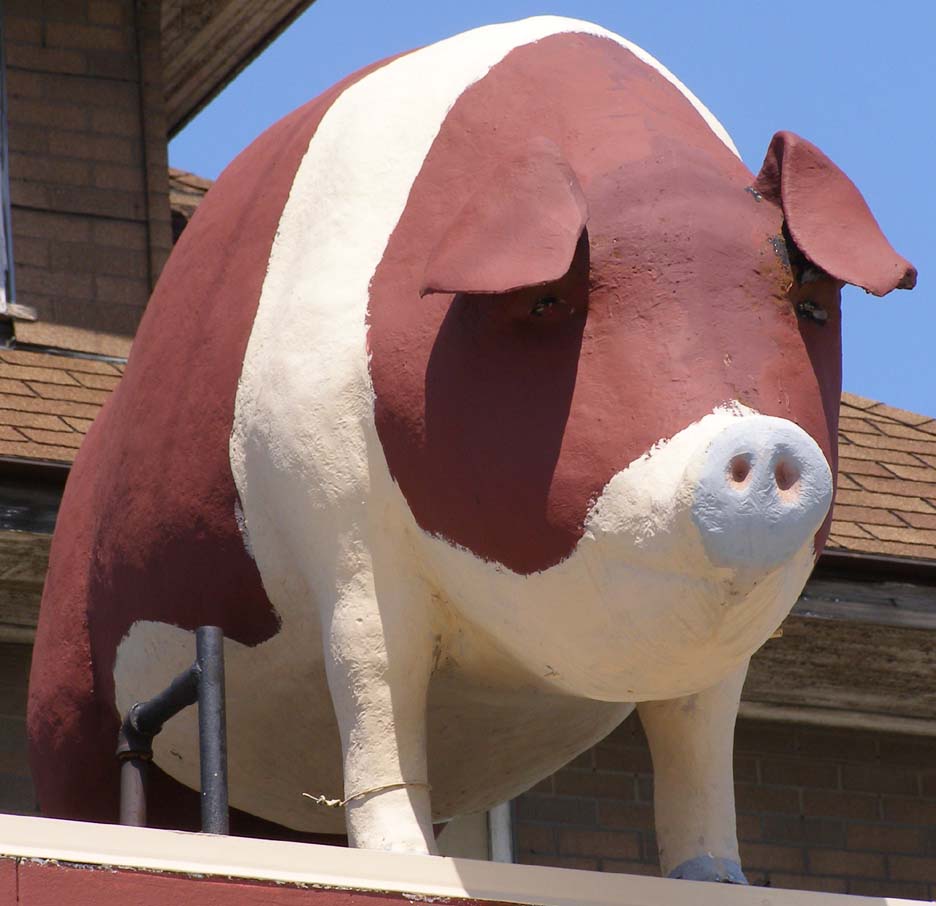 Pig & Hog Statues
