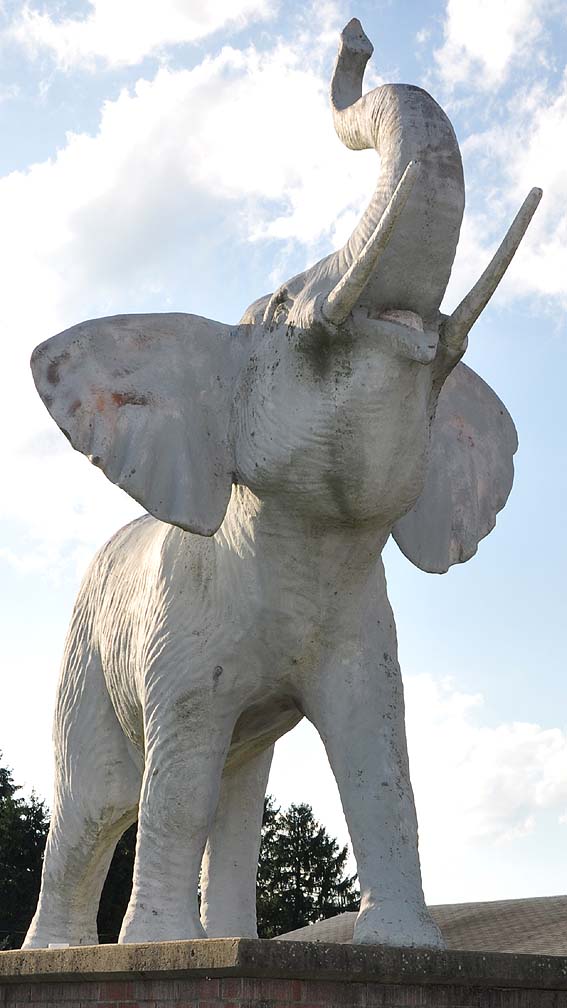 Elephant, Mammoth & Mastodon Statues