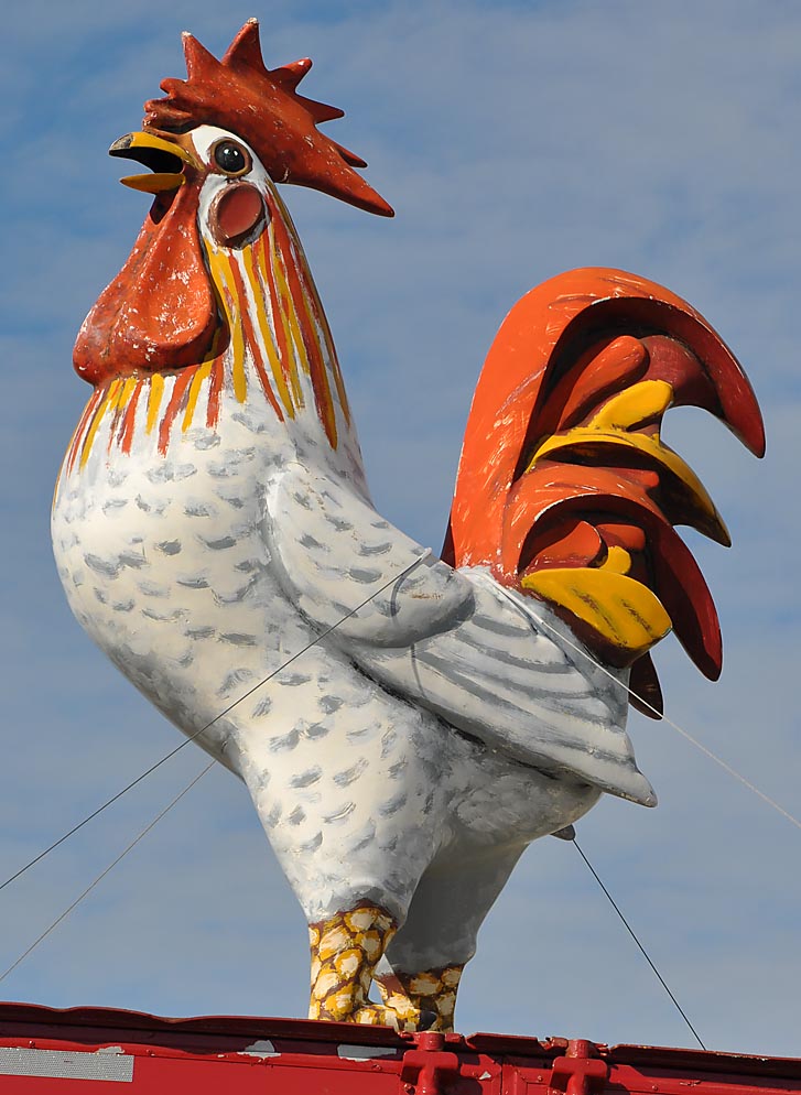 Chickens and Rooster Statues