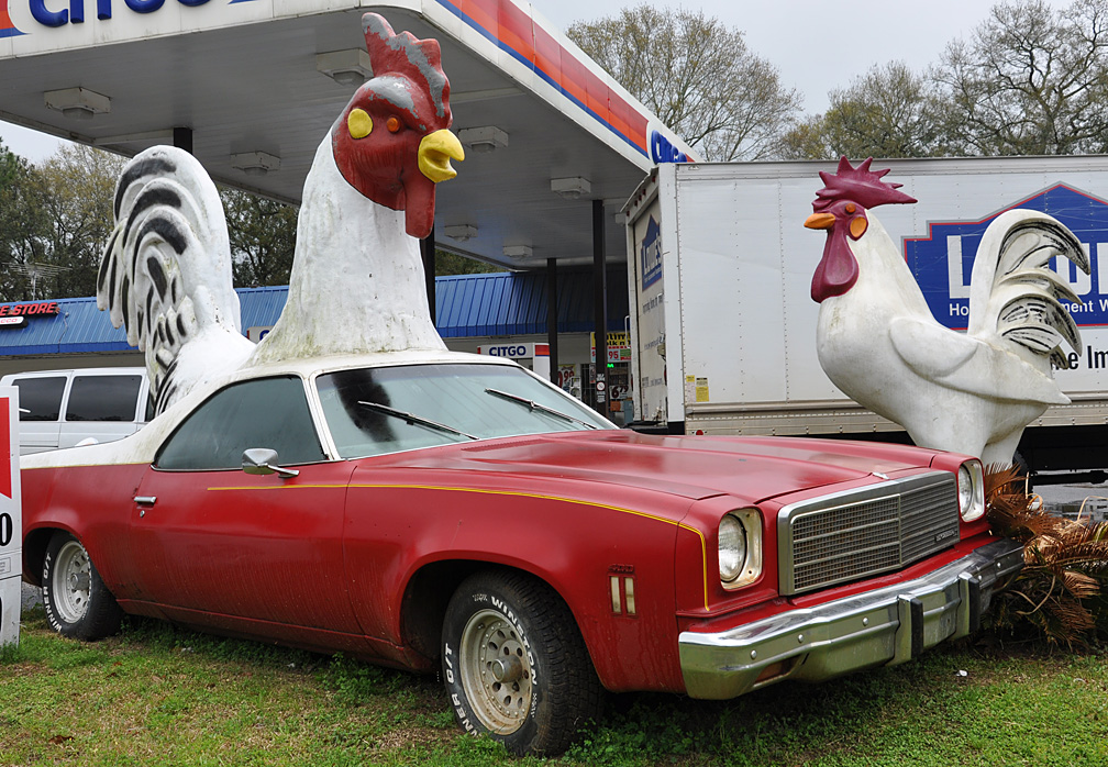 Chicken Cars