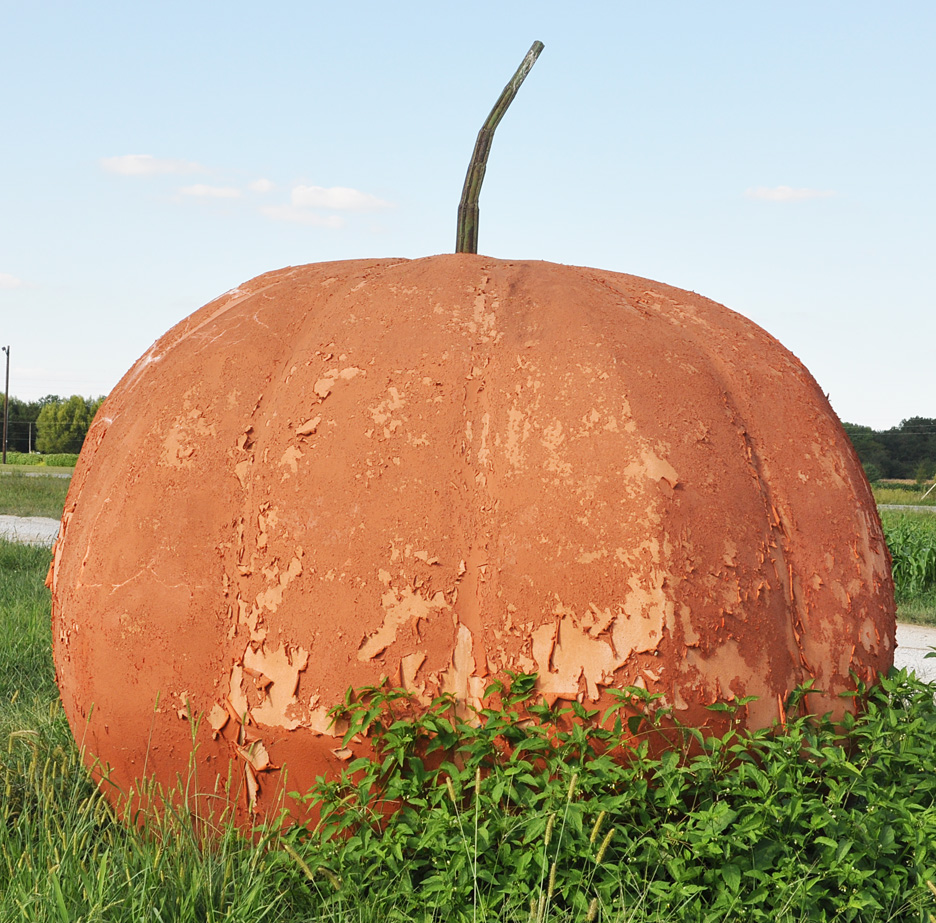 Pumpkin Patch Milton Wi artofrutor