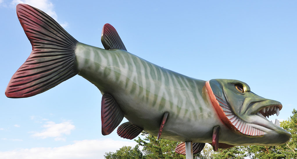 Fish Statues