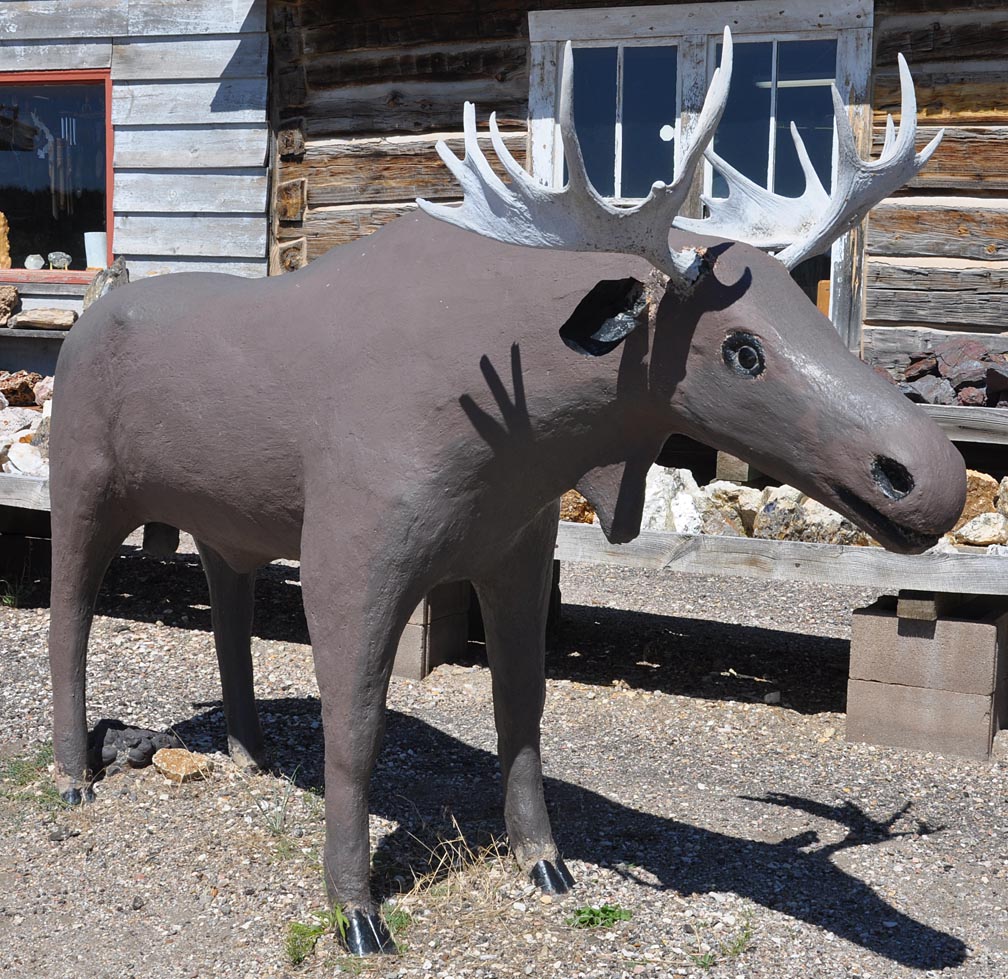 Moose, Deer, Elk, & Camel Statues