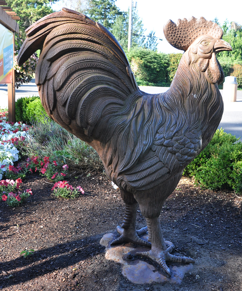 Rooster & Chicken Statues