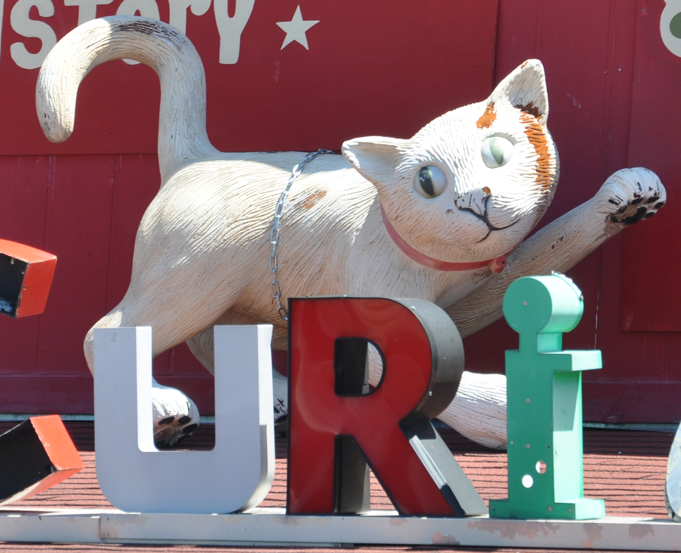 Domestic Cat Statues