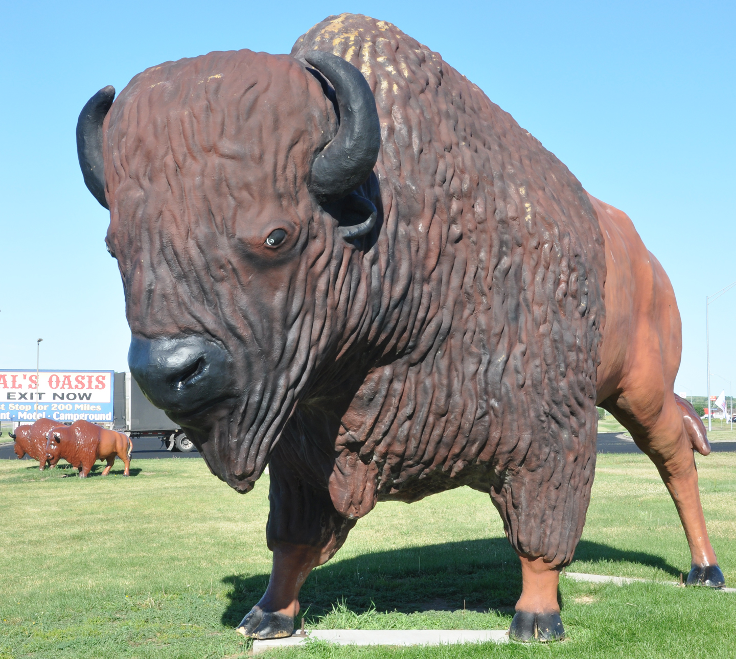 Buffalo & Bison Statues