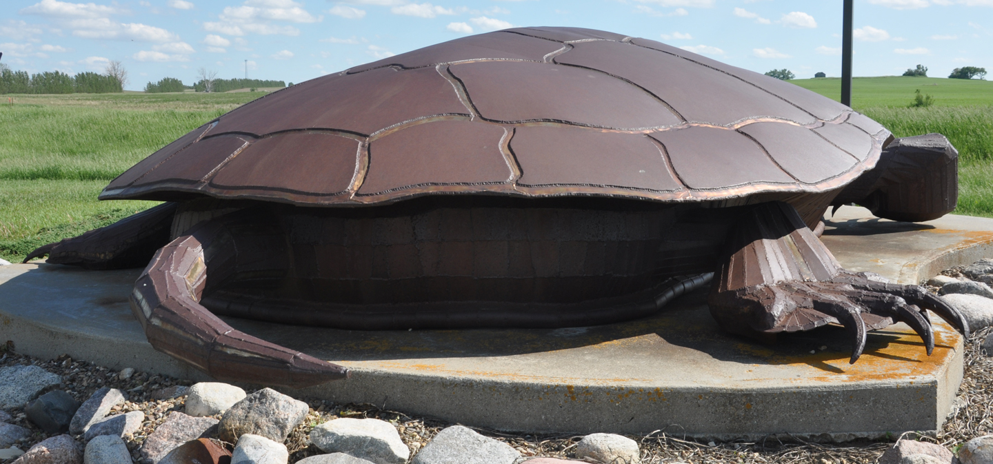 Turtle & Tortoise Statues