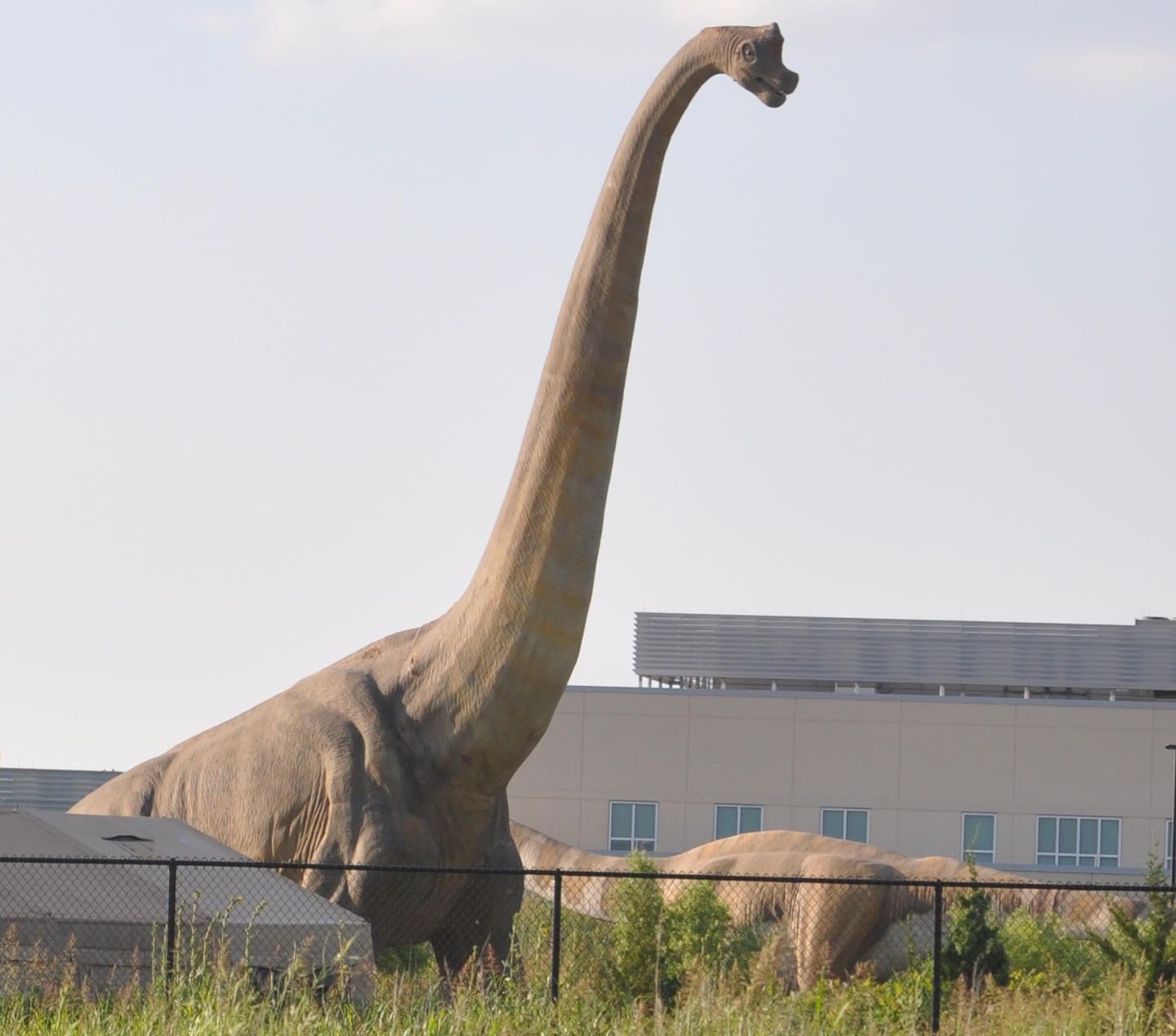 Kansas Dinosaur Statues