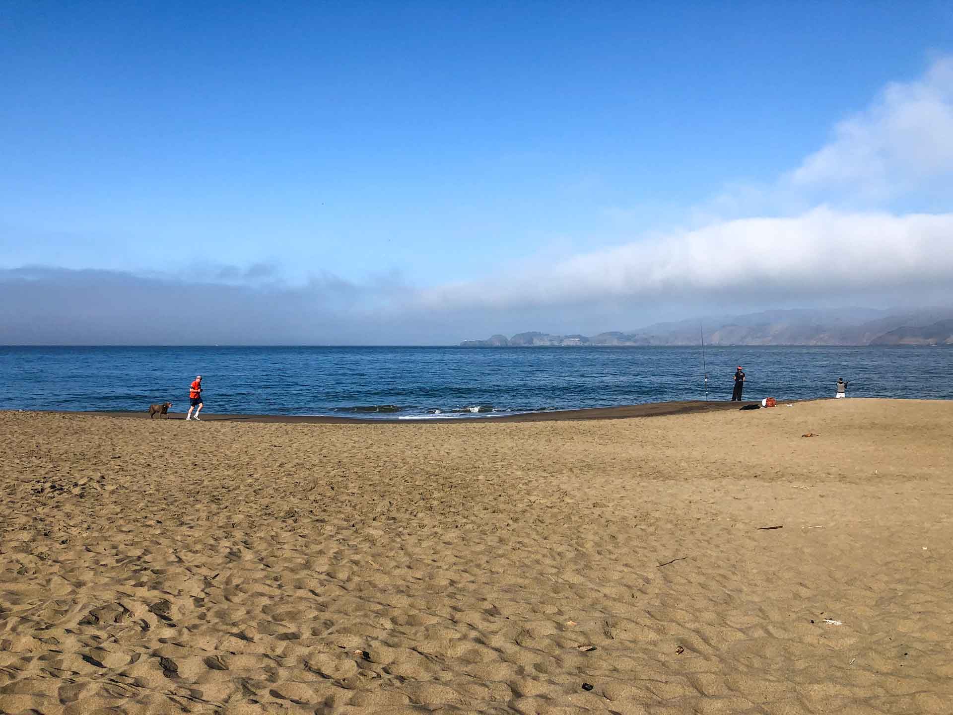 Baker Beach Roadside Secrets