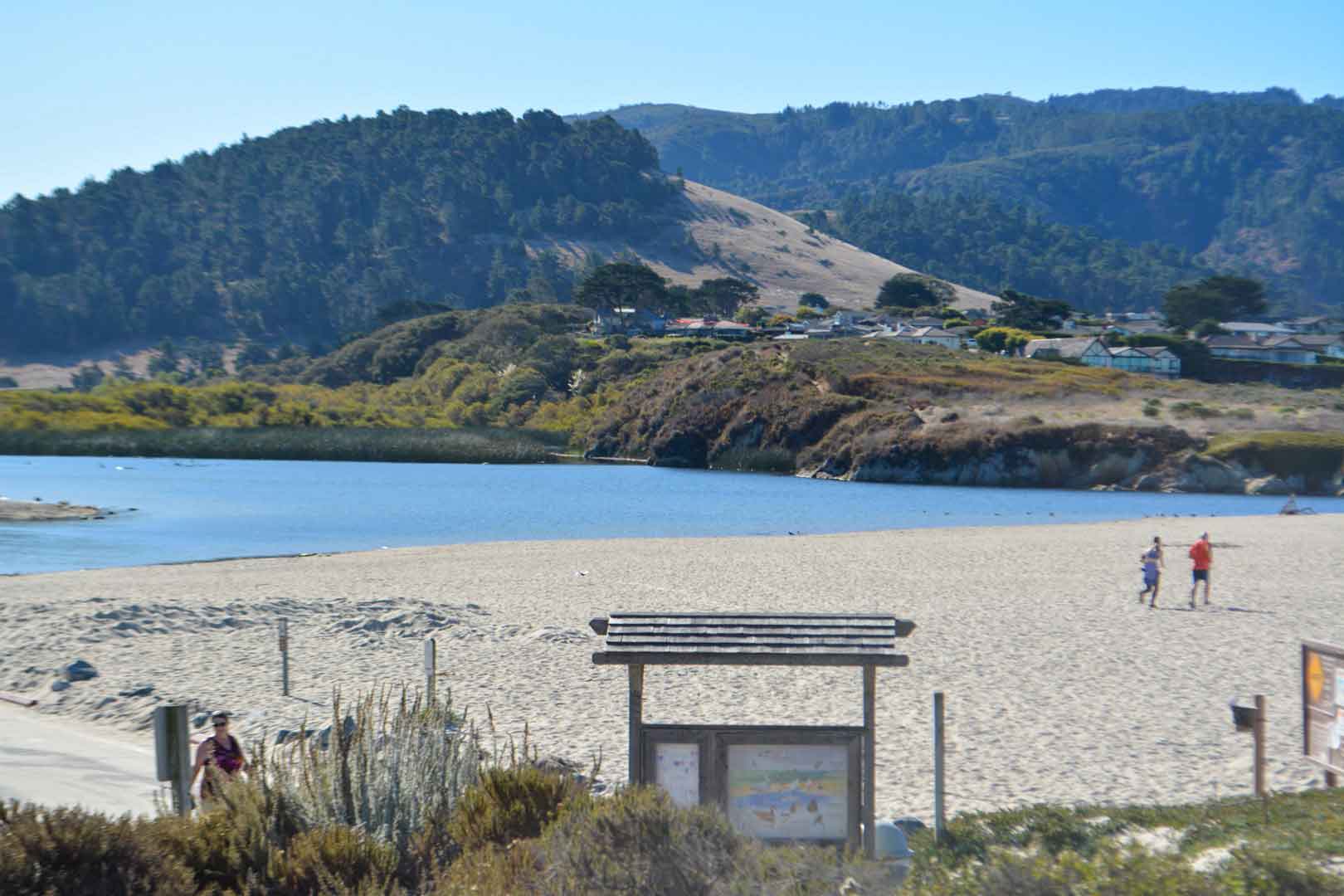 Carmel River State Beach Roadside Secrets