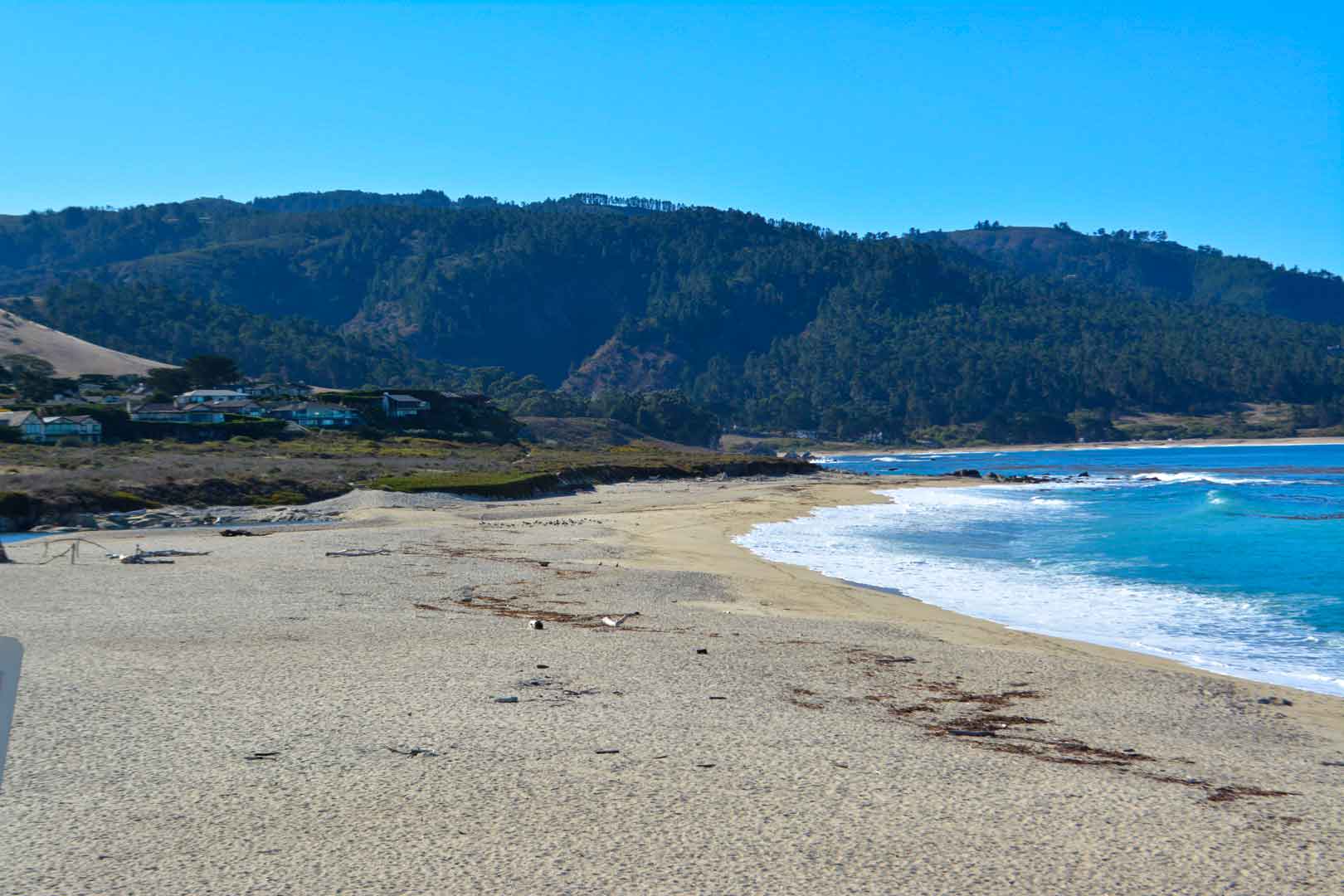 Carmel River State Beach Roadside Secrets