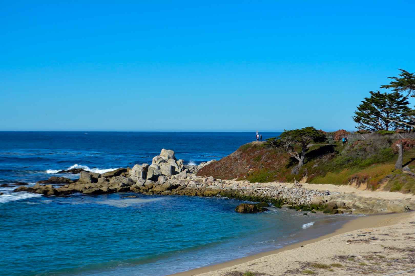 Carmel River State Beach Roadside Secrets