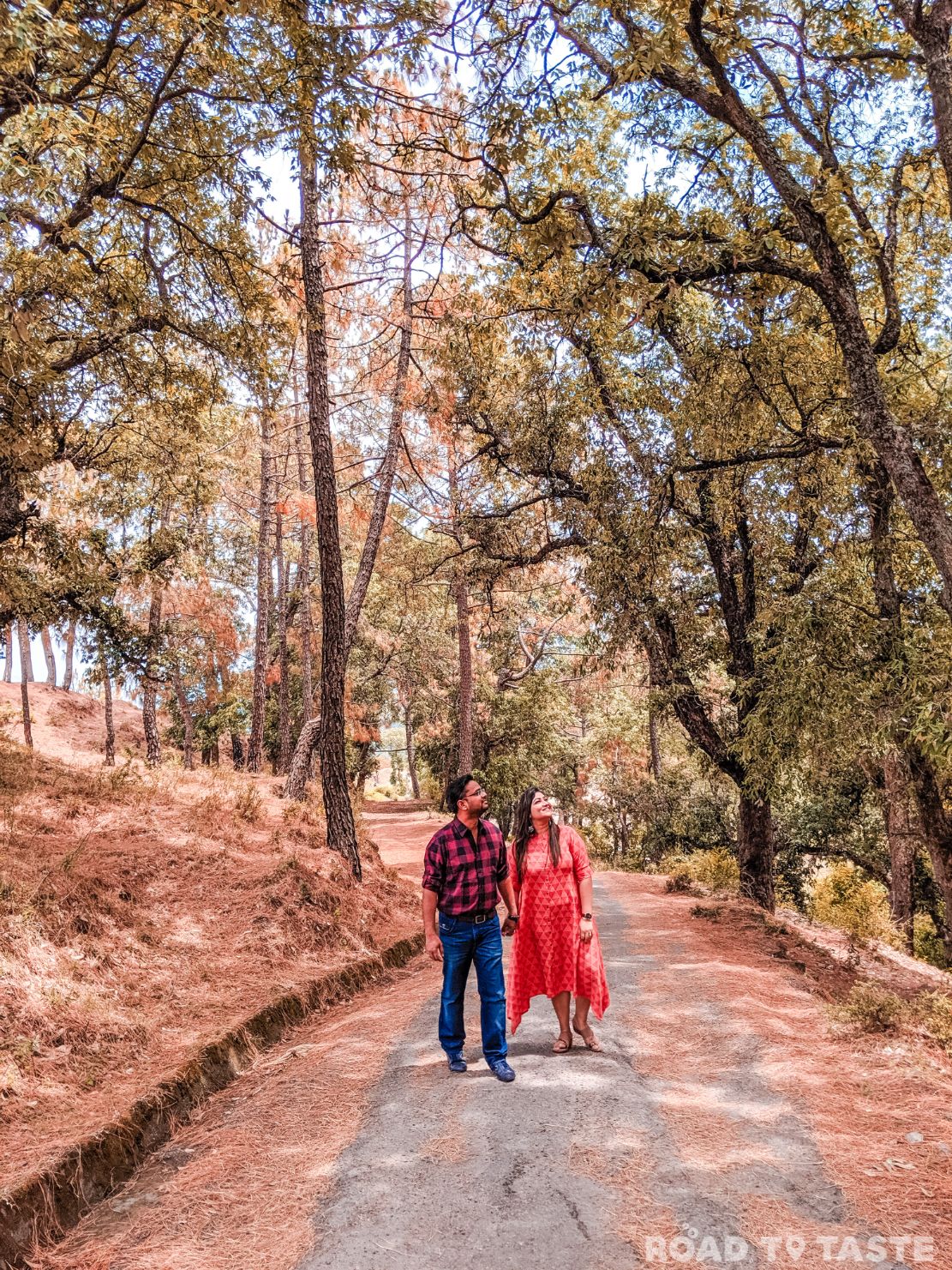 Barog Travel Guide to a hidden gem in Himachal Pradesh Road to Taste