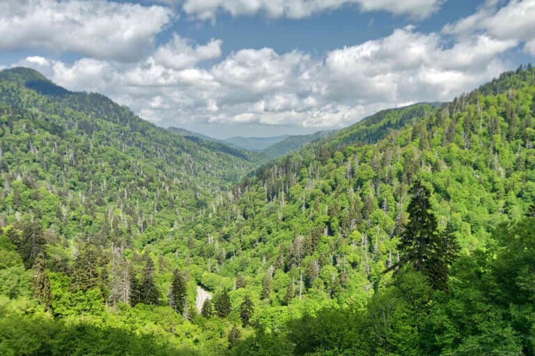 The Complete Travel Guide to the Foothills Parkway in Great Smoky Mountains National Park Road