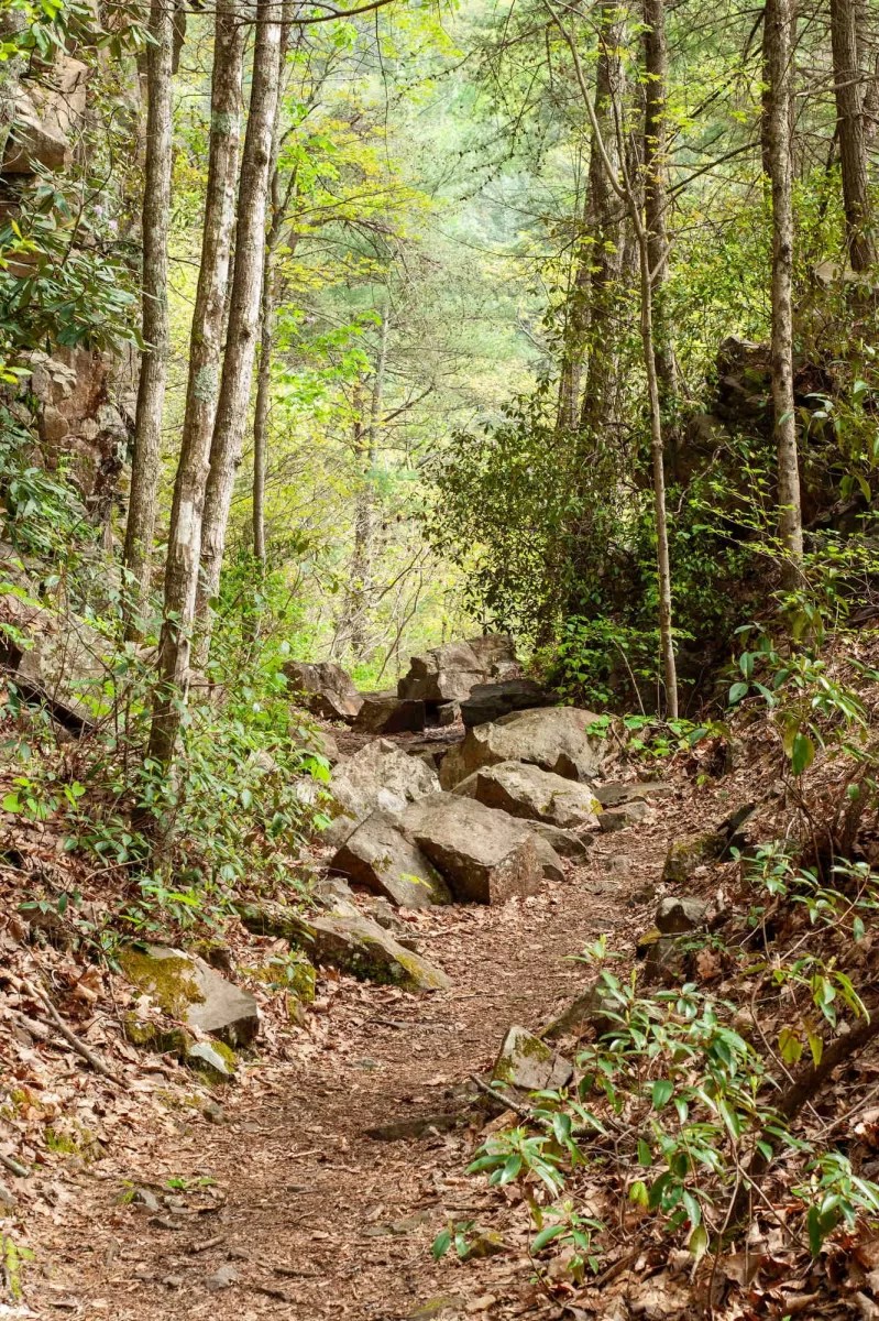 Hiking to Laurel Fork Falls on the Appalachian Trail in Northeast
