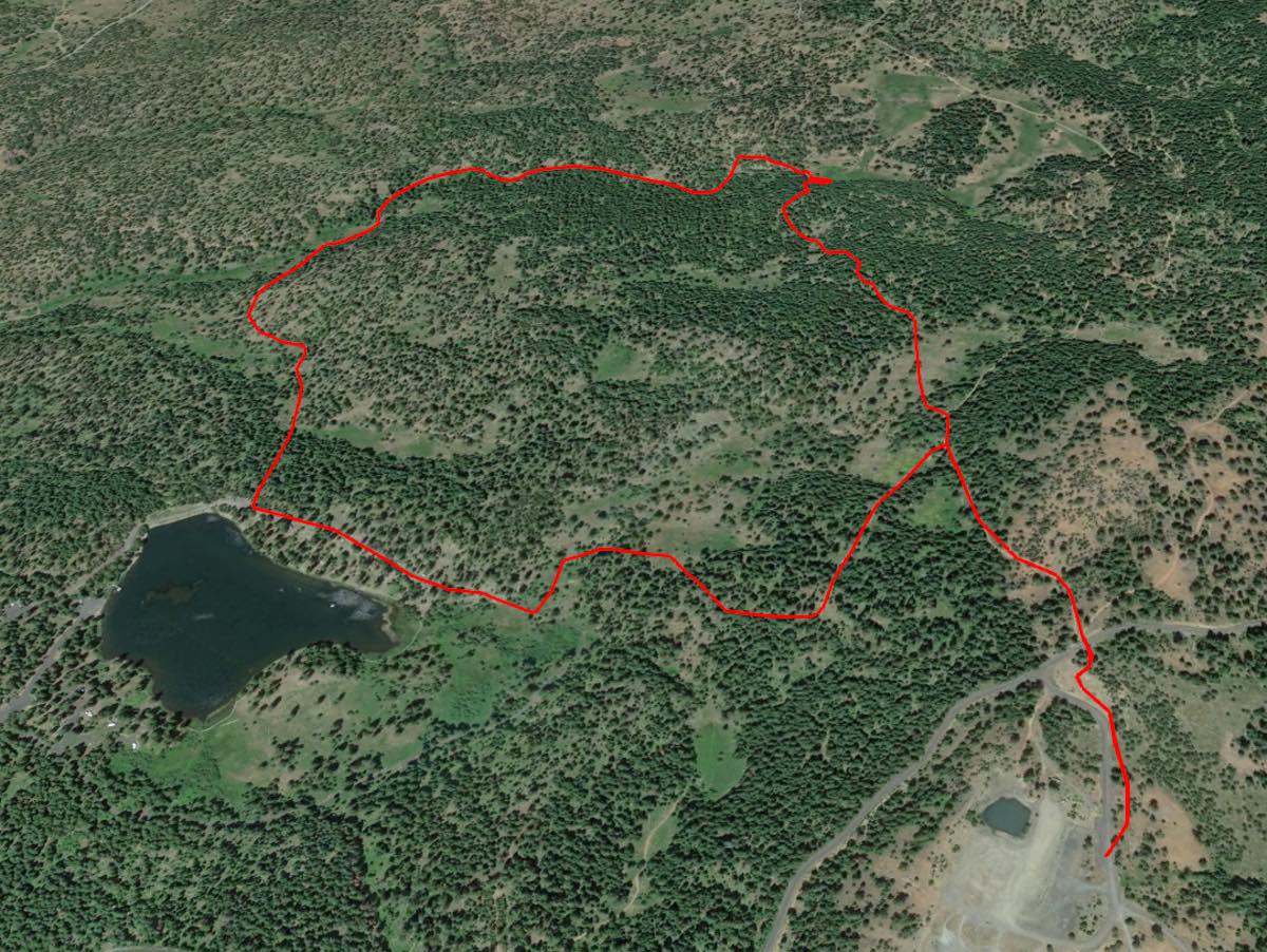 Walton Lake Overview Thumbnail