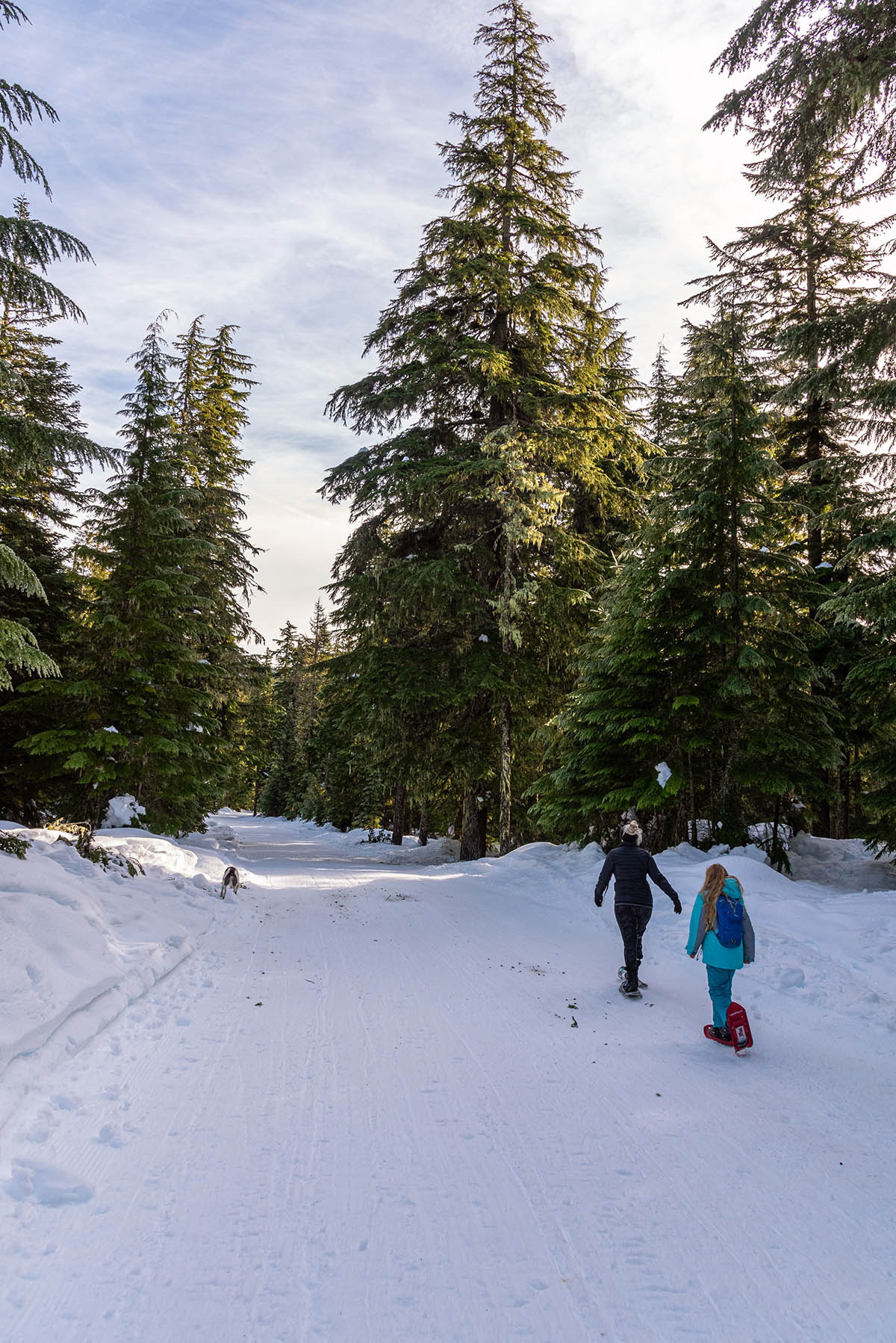 Frog Lake Hike Image