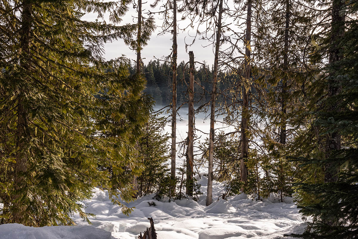 Frog Lake Hike Image