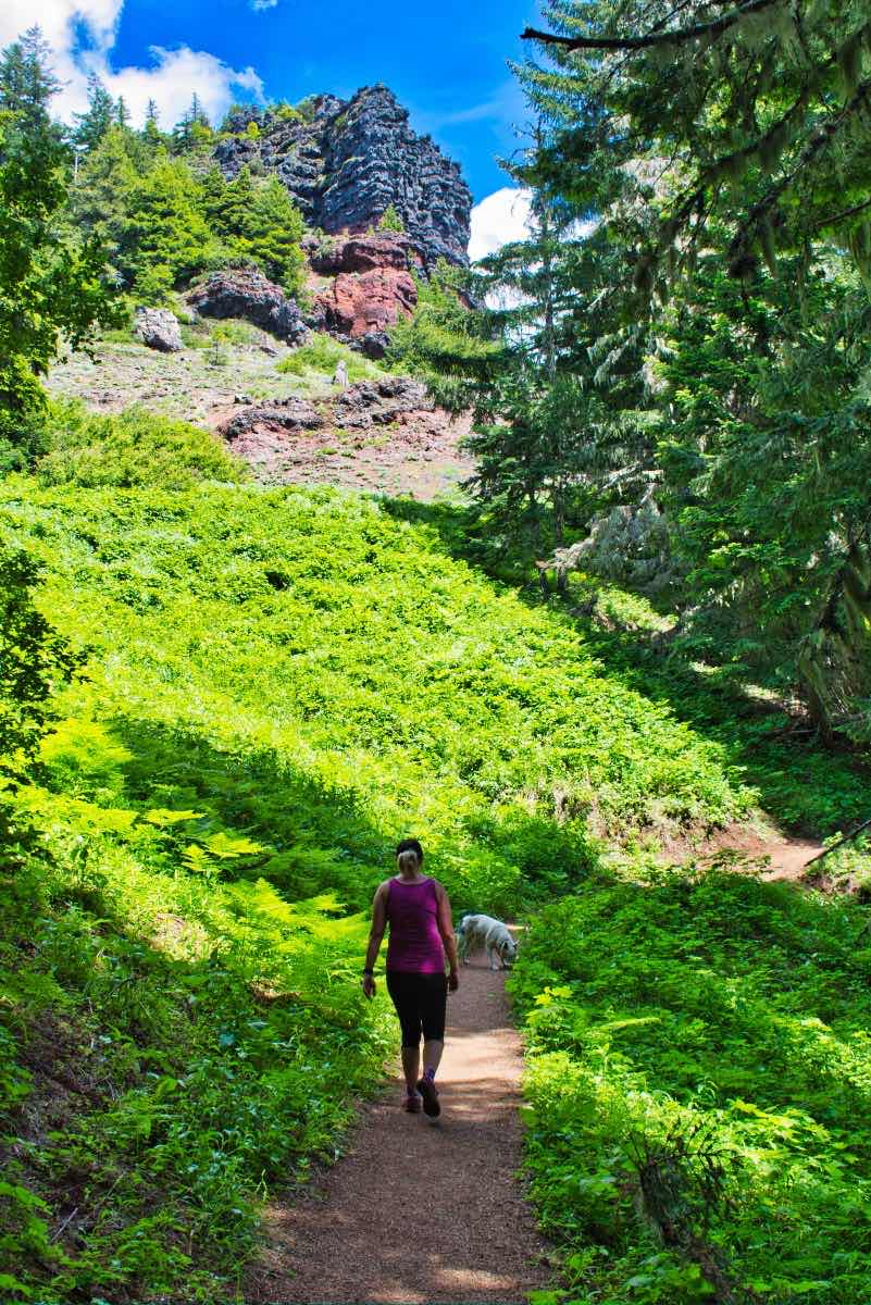 Iron Mountain Hike Image