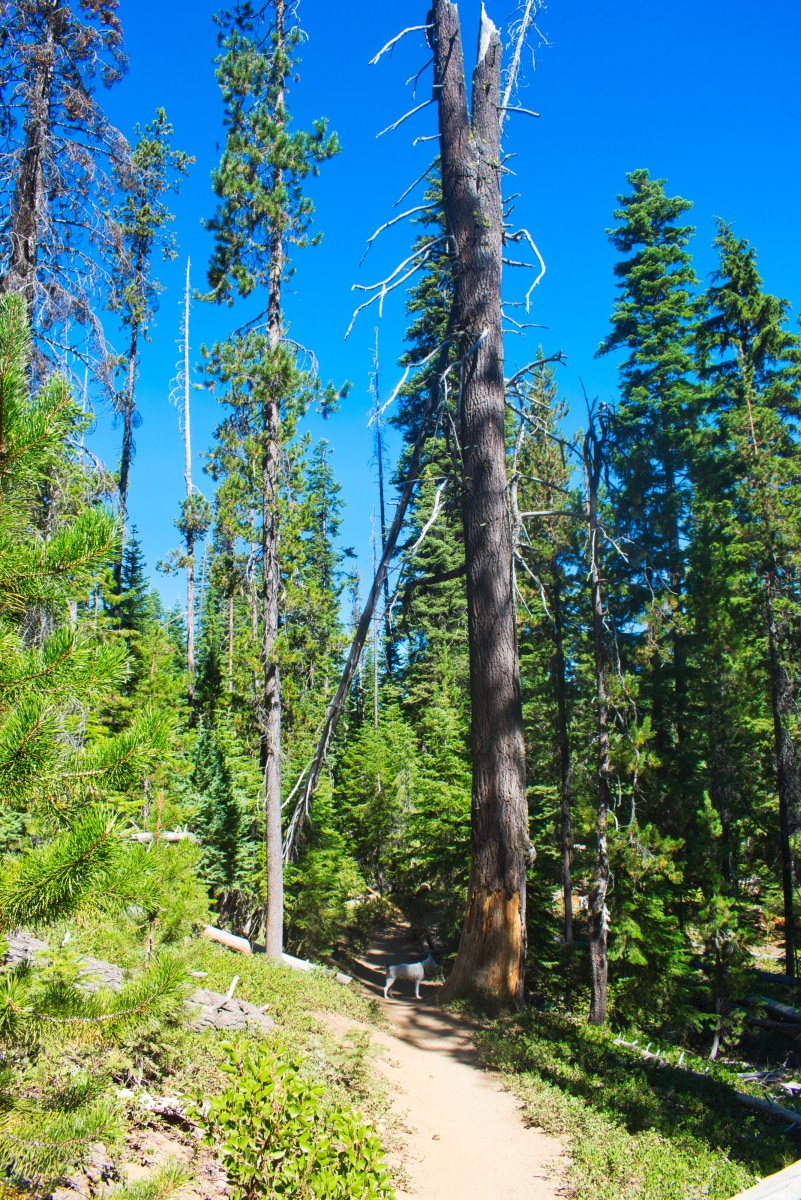 Lucky Lake Hike Image
