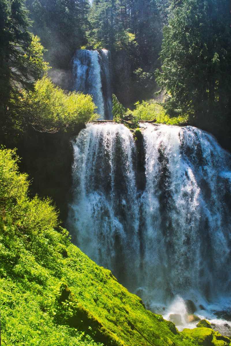 Marion Lake Hike Image