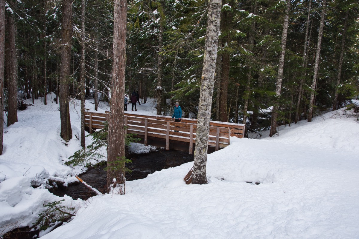 Mirror Lake Hike Image