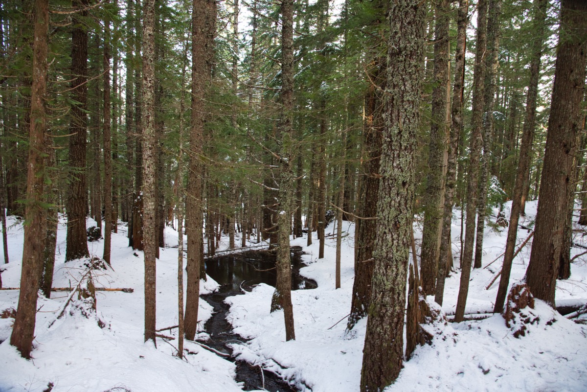 Mirror Lake Hike Image