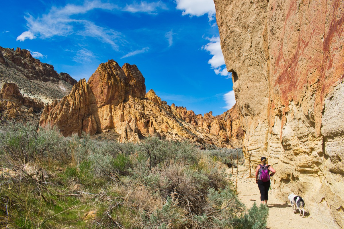 Painted Canyon Loop Hike Image
