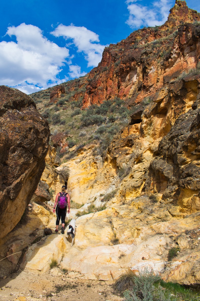 Painted Canyon Loop Hike Image