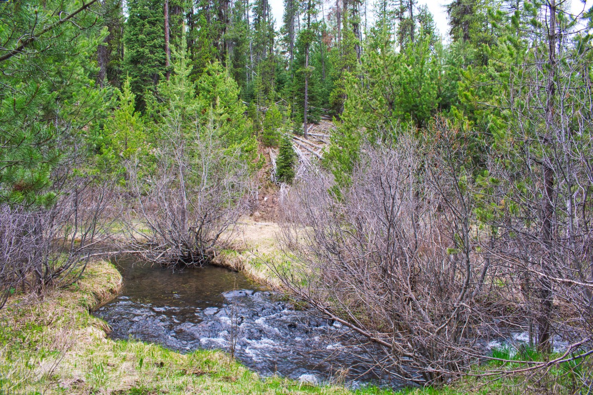 Rock Creek Trail Hike Image