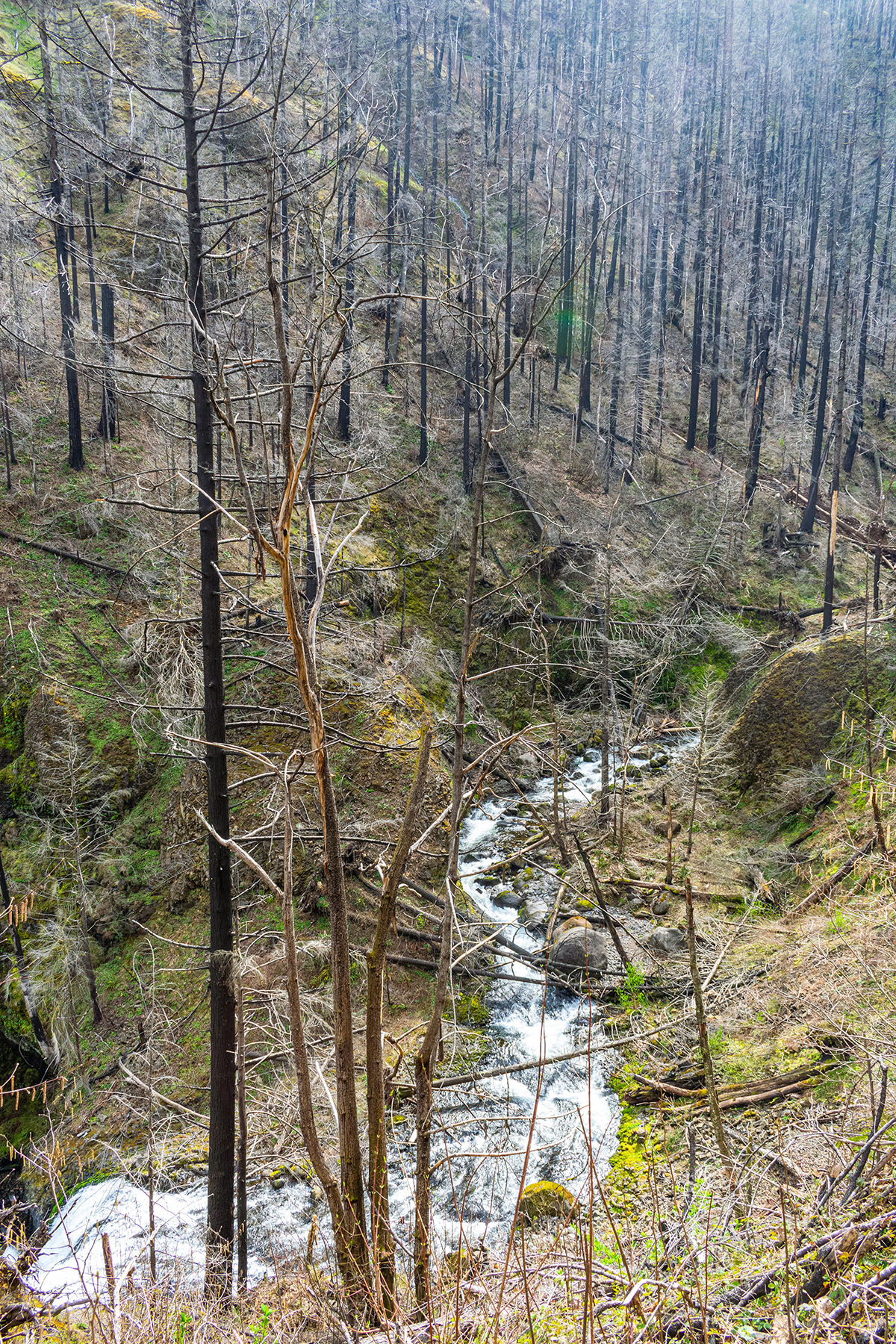 Triple Falls Hike Image