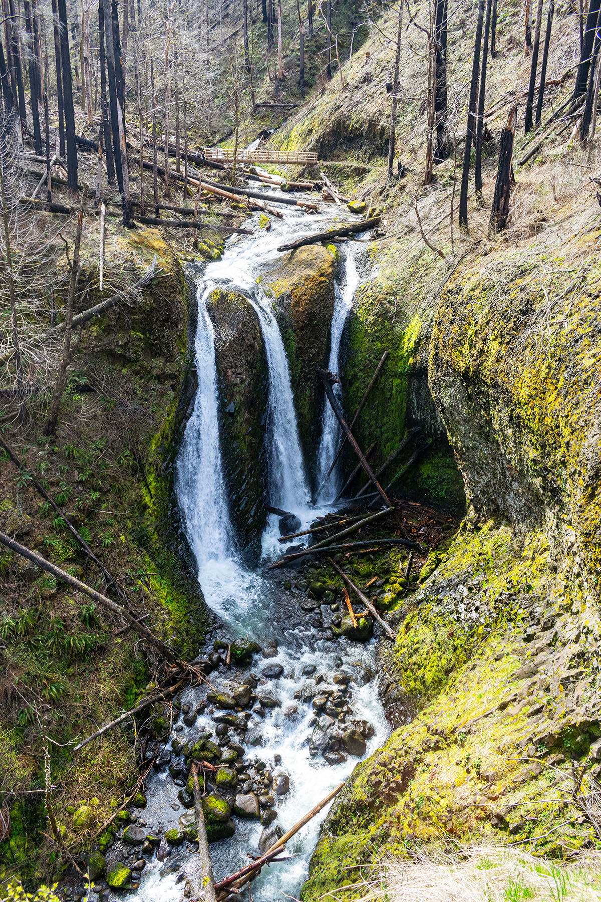 Triple Falls Hike Image