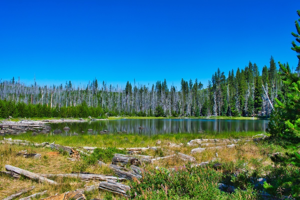 Wasco and Minto Lakes Loop Hike Image