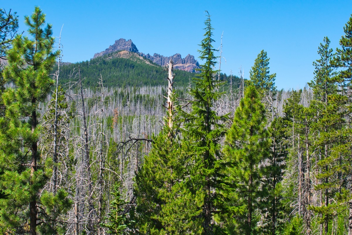 Wasco and Minto Lakes Loop Hike Image