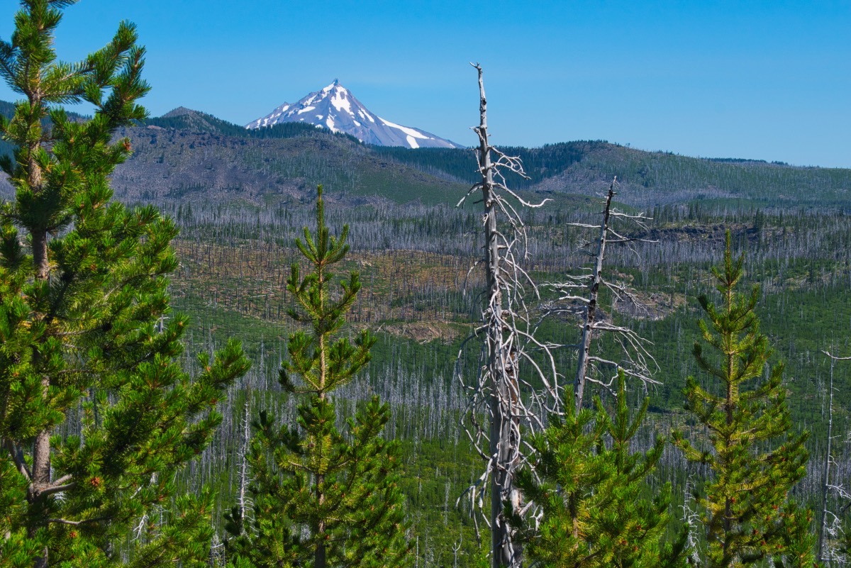 Wasco and Minto Lakes Loop Hike Image